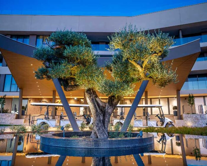 Kupnja nekretnine u Hrvatskoj za Poljake – potpuni vodič za Istru i premium lokacije